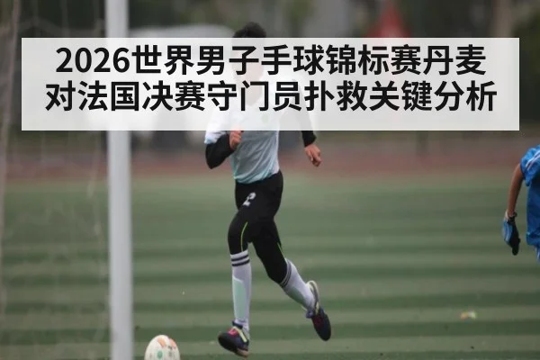 2026世界男子手球锦标赛丹麦对法国决赛守门员扑救关键分析